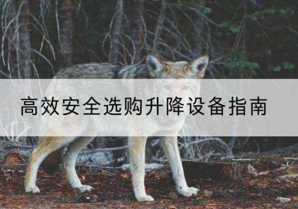 泸水升降货梯厂家推荐-*安全选购升降设备指南