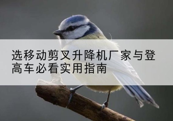 泸水电动升降机厂家-选移动剪叉升降机厂家与登高车必看实用指南